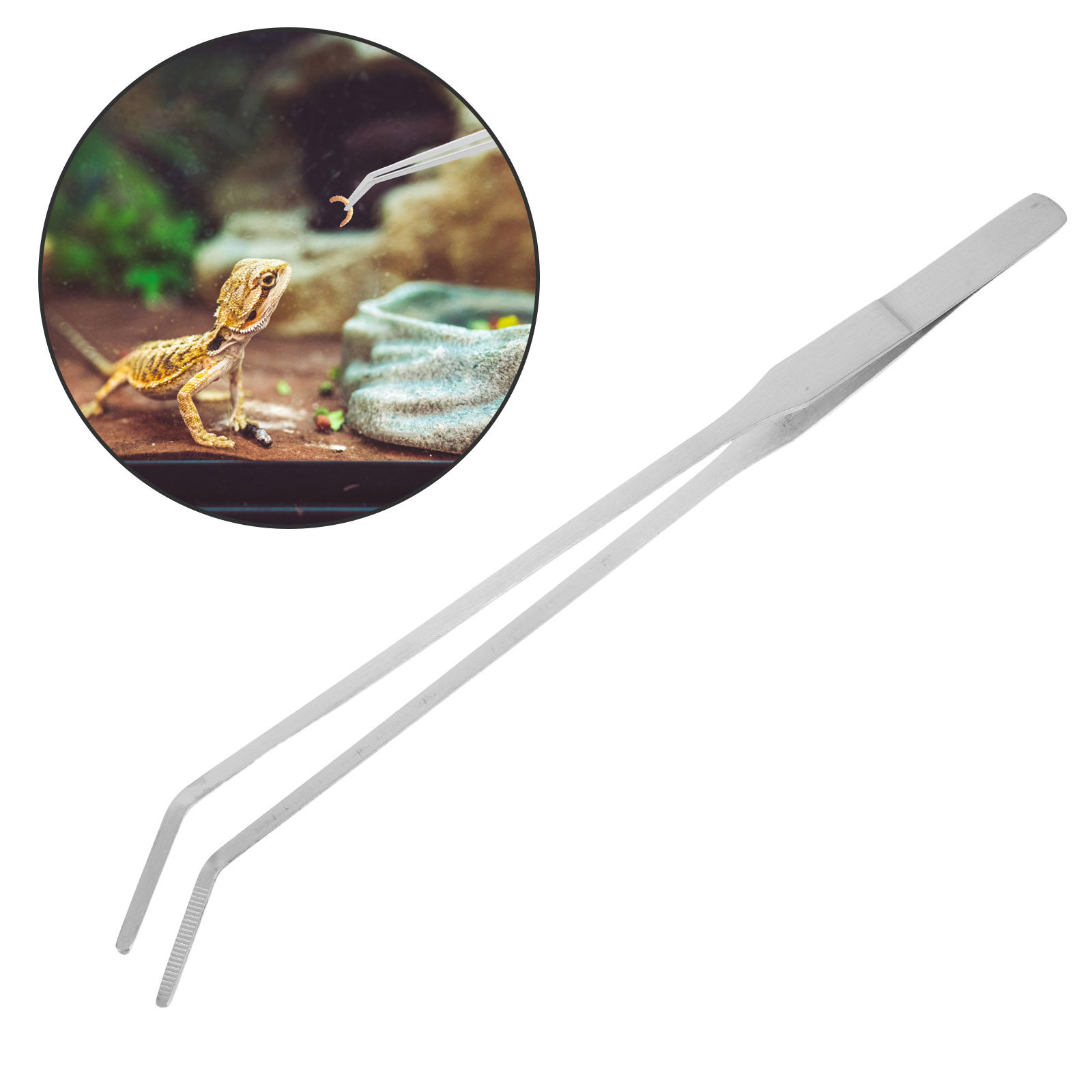 Feeding Tong Stainless - 6 Adet Paslanmaz Çelik Yem Kaşığı,