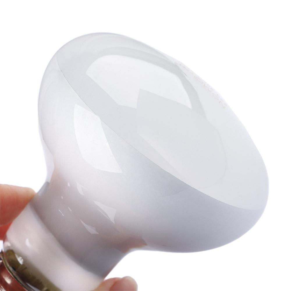 Kertenkele Isıtıcı Sıcaklık Ko - Basking Bulb Halogen incelemesi ve fiyatı