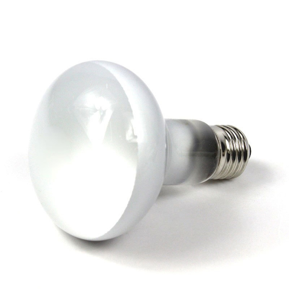 Kaplumbağa Isıtma Lambası Halo - Basking Bulb Halogen incelemesi ve fiyatı
