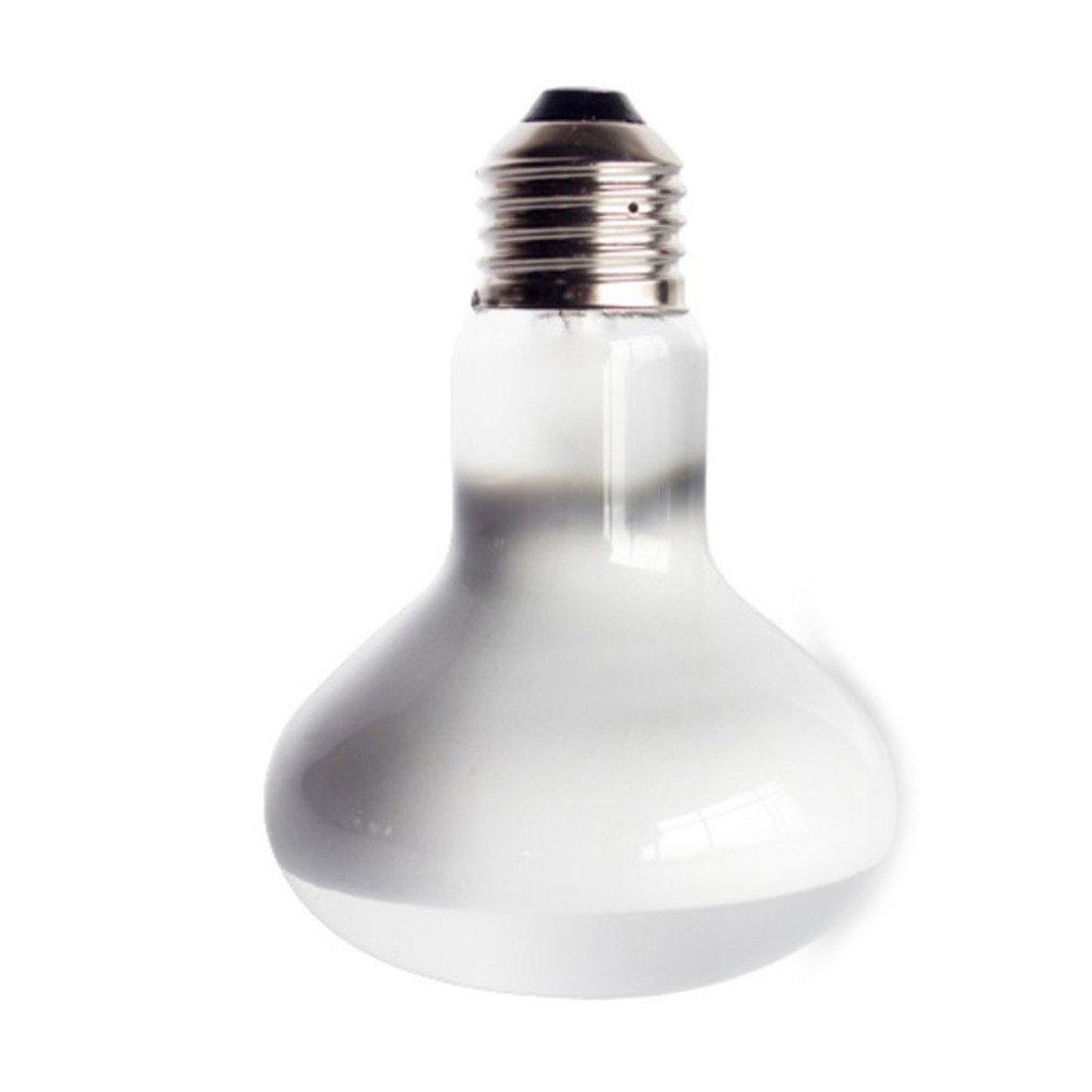 Kaplumbağa Isıtıcısı, Isı Lamb - Basking Bulb Halogen incelemesi ve fiyatı