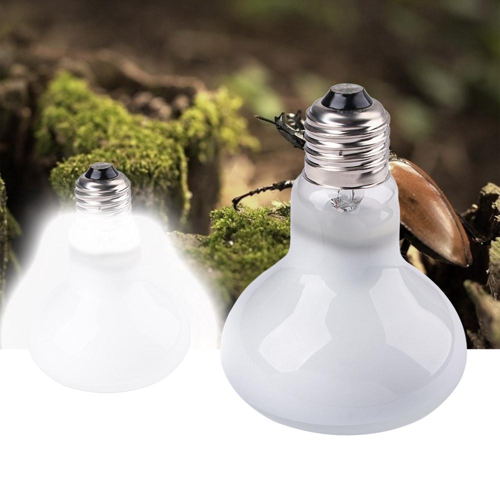 Kaplumbağa Isıtıcısı, Isı Lamb - Basking Bulb Halogen incelemesi ve fiyatı