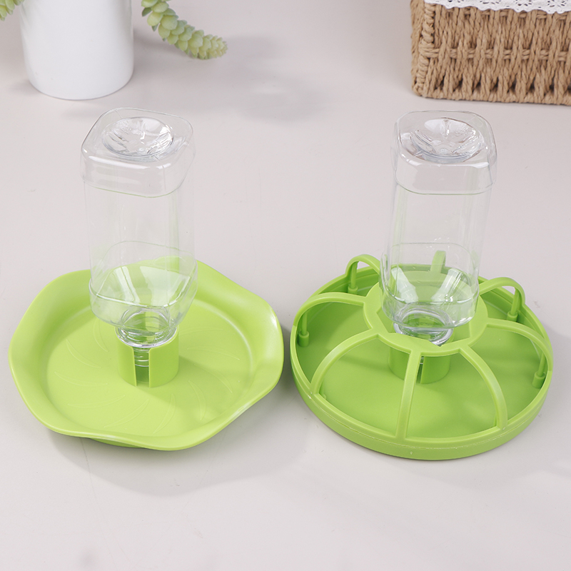 Sürüngen Su İçme Kabı Mama Kab - Water Dish Reptile incelemesi ve fiyatı